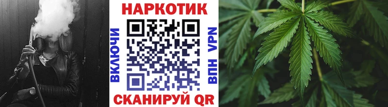 Псилоцибиновые грибы Зима
