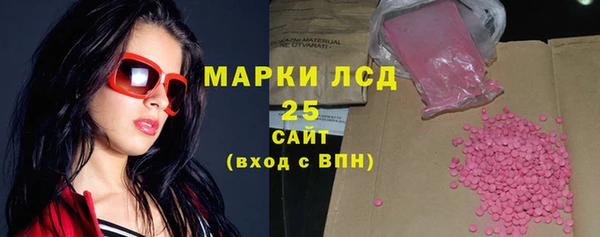 прущий лед Богданович