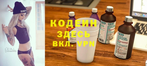 прущий лед Богданович