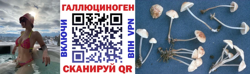 Псилоцибиновые грибы ЛСД  Зима 